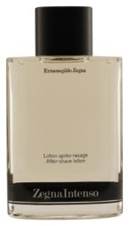 Ermenegildo Zegna Intenso