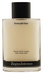 Ermenegildo Zegna Intenso