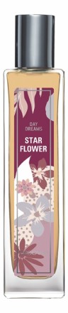 Brocard Day Dreams Star Flower