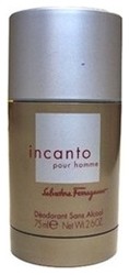 Salvatore Ferragamo Incanto Pour Homme