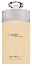 Salvatore Ferragamo Incanto Pour Homme