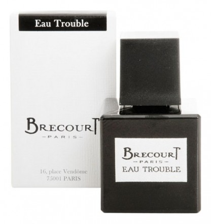 Brecourt Eau Trouble