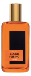 Brocard Color Feeling Orange