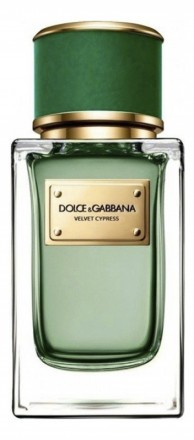 Dolce &amp; Gabbana Velvet Cypress