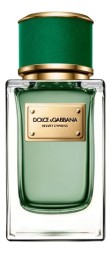 Dolce Gabbana (D&amp;G) Velvet Cypress