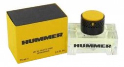 Hummer Hummer