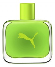 Puma Green