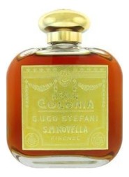 Santa Maria Novella Ambra
