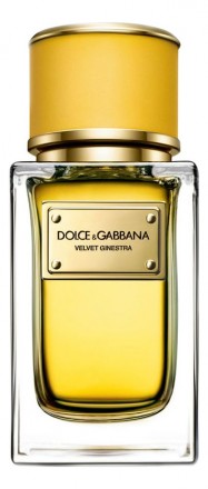 Dolce Gabbana (D&amp;G) Velvet Ginestra