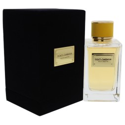 Dolce Gabbana (D&amp;G) Velvet Ginestra