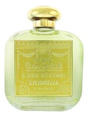 Santa Maria Novella Fresia Santa Maria Novella Fresia
