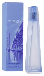 Pitbull Miami Man