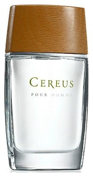 Cereus No4