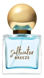 Bath And Body Works Saltwater Breeze