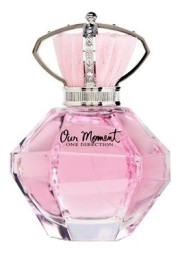 One Direction Our Moment