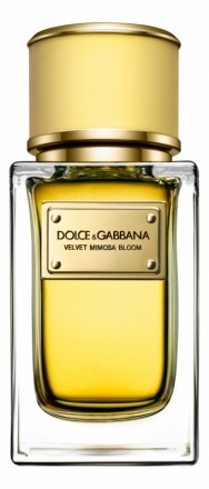 Dolce &amp; Gabbana Velvet Mimosa Bloom