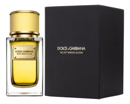 Dolce &amp; Gabbana Velvet Mimosa Bloom