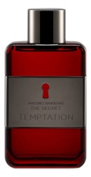 Banderas The Secret Temptation