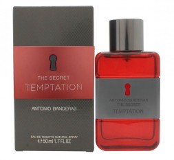 Banderas The Secret Temptation