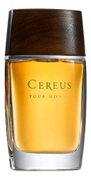 Cereus No11 Pour Homme