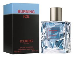 Iceberg Burning Ice