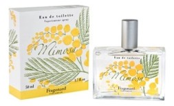 Fragonard Mimosa