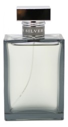 Ralph Lauren Romance Silver Men