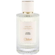 Chloe Herba Mimosa