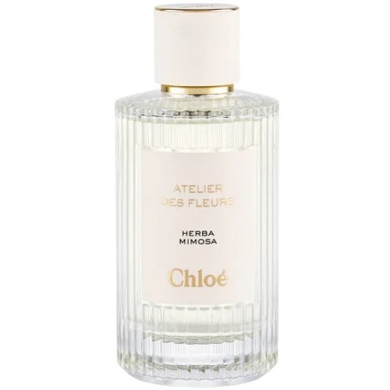 Chloe Herba Mimosa