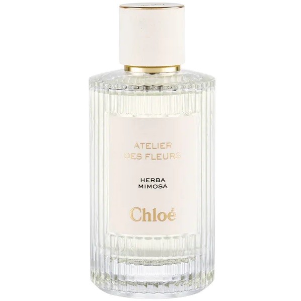 Chloe Herba Mimosa
