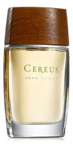 Cereus No7