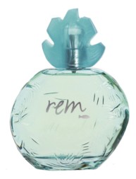 Reminiscence Rem