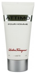 Salvatore Ferragamo Attimo Pour Homme