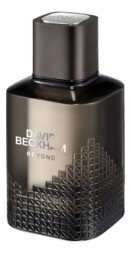 David Beckham Beyond