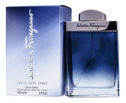 Salvatore Ferragamo Subtil Pour Homme
