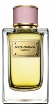 Dolce &amp; Gabbana Velvet Rose