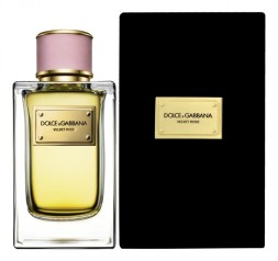 Dolce &amp; Gabbana Velvet Rose