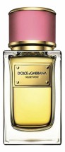 Dolce &amp; Gabbana Velvet Rose
