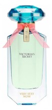 Victorias Secret Very Sexy Now 2015