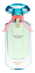 Victorias Secret Very Sexy Now 2015