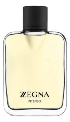 Ermenegildo Zegna Z Zegna Intenso