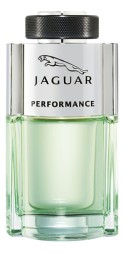 Jaguar Performance