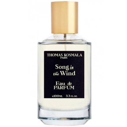 Thomas Kosmala Song In The Wind