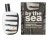 Comme des Garcons Wonderwood by the Sea