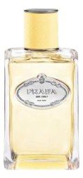 Prada Infusion de Mimosa