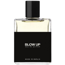 Moth and Rabbit Perfumes Blow Up