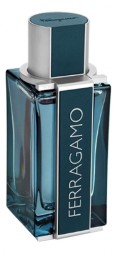 Salvatore Ferragamo Intense Leather