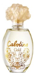 Gres Cabotine Gold