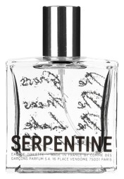 Comme Des Garcons Serpentine