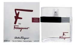 Salvatore Ferragamo F by Ferragamo Pour Homme